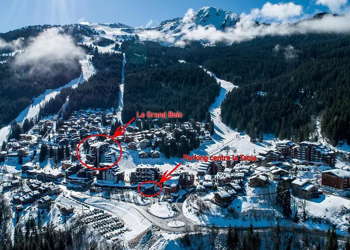 Apartament 2 Pieces Confortables, Skis Aux Pieds, Proche Des Commerces - Fr-1-182a-8 *