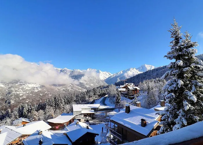 2 Pièces Confortables, Skis Aux Pieds, Proche Des Commerces - Fr-1-182a-8 *