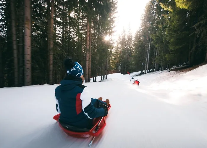 2 Pièces Confortables, Skis Aux Pieds, Proche Des Commerces - Fr-1-182a-8 *
