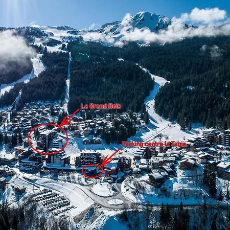 Apartment 2 Pieces, 4 Pers, Skis Aux Pieds A La Tania - Le Grand Bois, - Fr-1-182a-8 *